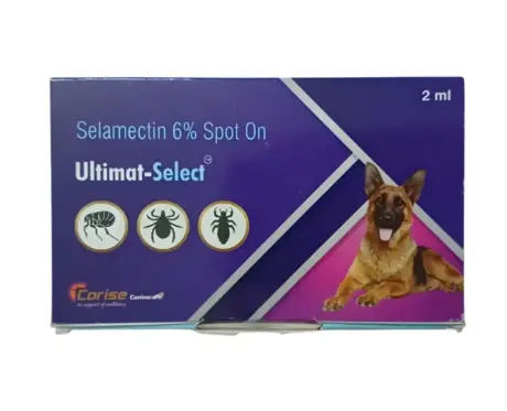 Corise Ultimat Spot On for Dogs 2ml Flea & Tick Protection - PetMedicine.co