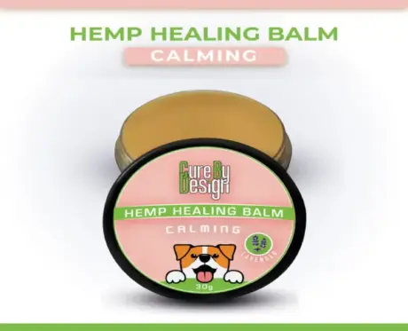 Cure By Design Hemp Healing Balm for dogs and cats 30gm PetMedicine.co