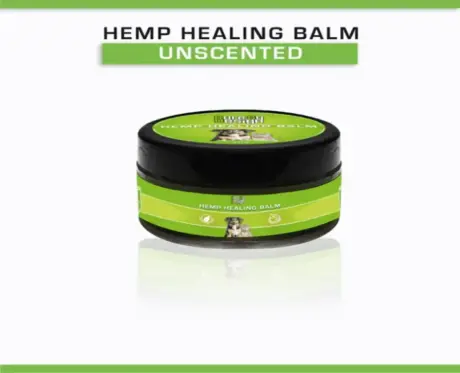 Cure By Design Hemp Healing Balm for Dogs and Cats 30gm PetMedicine.co