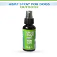 Cure by Design Hemp Outdoor Tick And Flea Spray for Dogs,50 ML at pet medicine.co 2