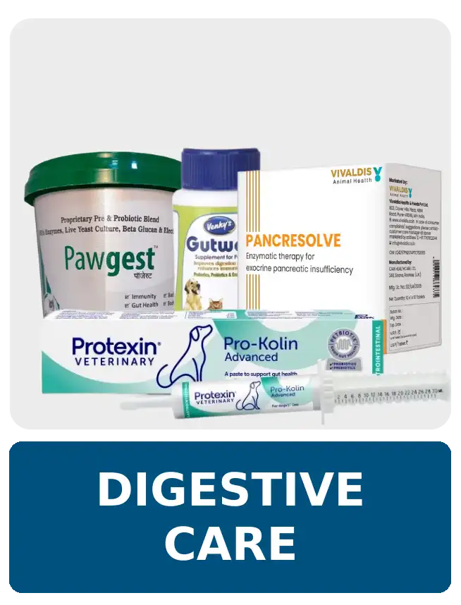 Digestive Medicine at PetMedicine.co