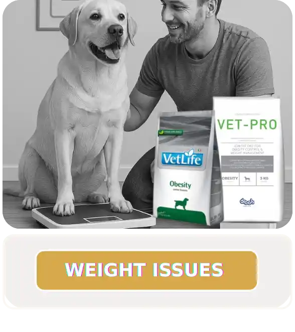 Dog Obesity Food at PetMedicine.co
