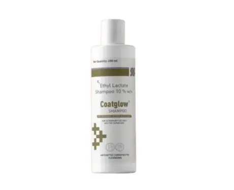 Drools Coatglow Shampoo for Dogs & Cats 200ml - PetMedicine.co
