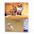 Elanco Advocate Spot On Large Cats 4-8kg 3 Pack PetMedicine.co