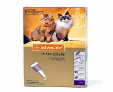 Elanco Advocate Spot On Large Cats 4-8kg 3 Pack PetMedicine.co