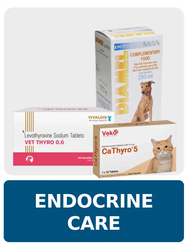 Endocrine Care Meds at PetMedicine.co