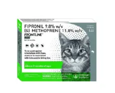 Frontline Plus Spot on Cats 0.5ml for Tick and Flea Control – PetMedicine.co