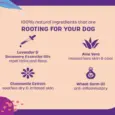 Buy HUFT Flea & Tick Relief Shampoo with Lavender & Rosemary – PetMedicine.co