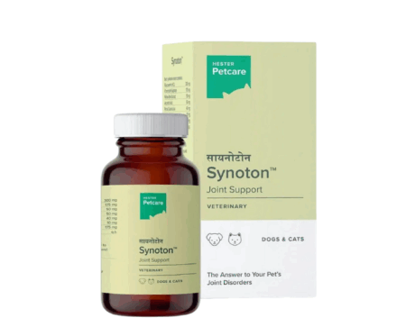 Hester Synoton joint support tablets for dogs and cats - PetMedicine.co