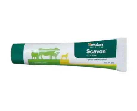 Himalaya Scavon Cream for Dogs and Cats 50gm Online at PetMedicine.co