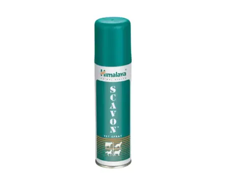 Himalaya Scavon Spray for Dogs and Cats 150ml – PetMedicine.co