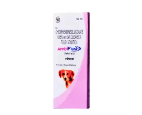 Intas Ambiflush Ear Cleanser for Dogs 100 ML – PetMedicine.co