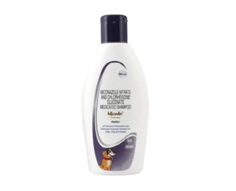 Intas Micodin Shampoo for Dogs & Cats 200ml – PetMedicine.co