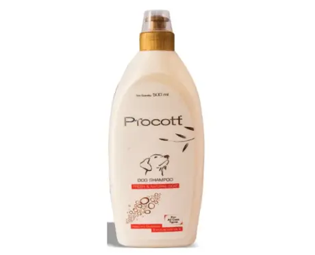 Buy Intas Procott Shampoo for Dogs Online – PetMedicine.co