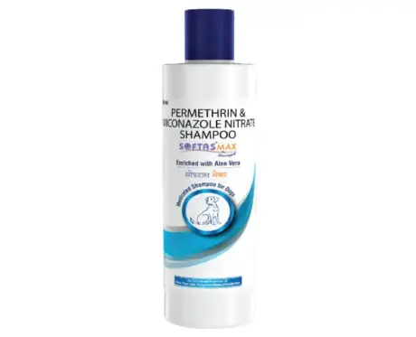 Anti-Tick & Flea Pet Shampoo by Intas Softas Max – PetMedicine.co