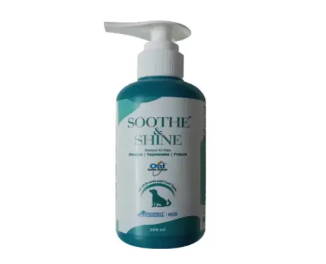 Buy Intas Soothe & Shine Coat Care Dog Shampoo 200ml from PetMedicine.co