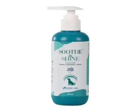 Intas Soothe & Shine Shampoo for Dogs 200ml Online at PetMedicine.co
