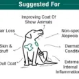 MPS FurTab supplement for skin and coat care in dogs and cats – PetMedicine.co
