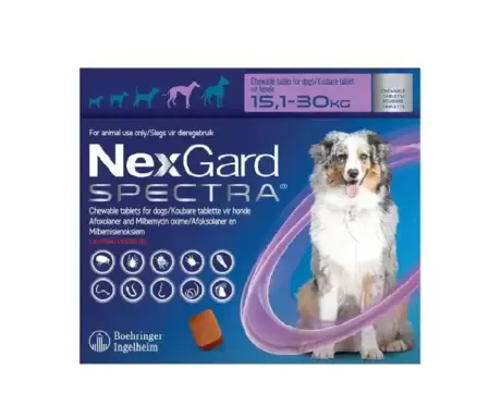 NexGard Spectra Large chewable for dogs 15–30kg | PetMedicine.co