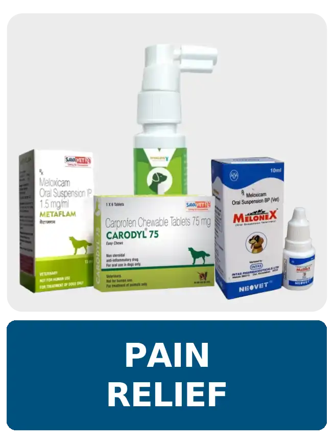 Pain Relief Meds at Petmedicine.co
