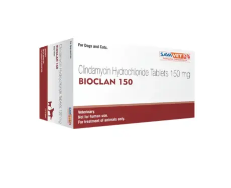 Savavet Bioclan tablet for dogs and cats antibiotic treatment PetMedicine.co