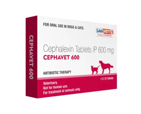 Savavet Cephavet 600 MG tablets for dogs and cats at PetMedicine.co