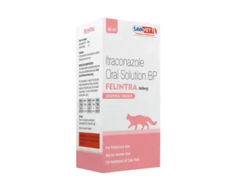 Savavet Felintra Oral Solution for Cats 60ml Antifungal | PetMedicine.co
