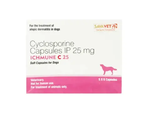 Savavet Ichmune C Tablet for Dogs Skin Allergies – PetMedicine.co
