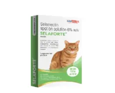 Savavet Selaforte Cat Spot On for Tick and Flea | PetMedicine.co