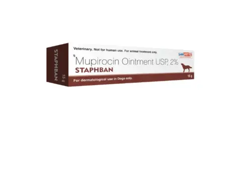Buy Savavet Staphban Ointment for Dogs 15gm Online – PetMedicine.co