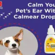 Buy Scientific Remedies Calm Ear 20ml for Pet Ear Care – PetMedicine.co