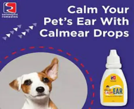 Buy Scientific Remedies Calm Ear 20ml for Pet Ear Care – PetMedicine.co