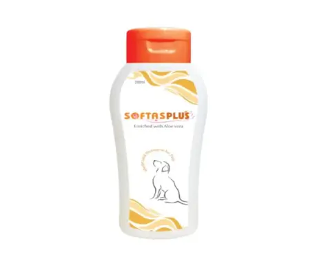 Intas Softas Plus Tick & Flea Shampoo 200ml for Pets - PetMedicine.co