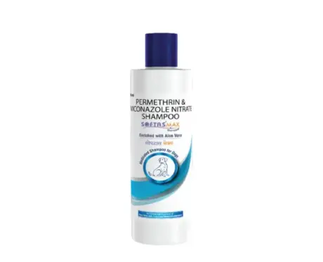 Intas Softas Max Tick and Flea Shampoo for Dogs and Cats – PetMedicine.co