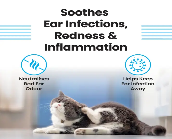 Vivaldis Clearify Ear Cleanser for Dogs & Cats – PetMedicine.co