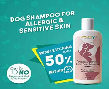 Buy Vivaldis Pirofur Shampoo online for pets - PetMedicine.co