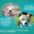 Gentle cleansing pet shampoo Vivaldis Pirofur - PetMedicine.co