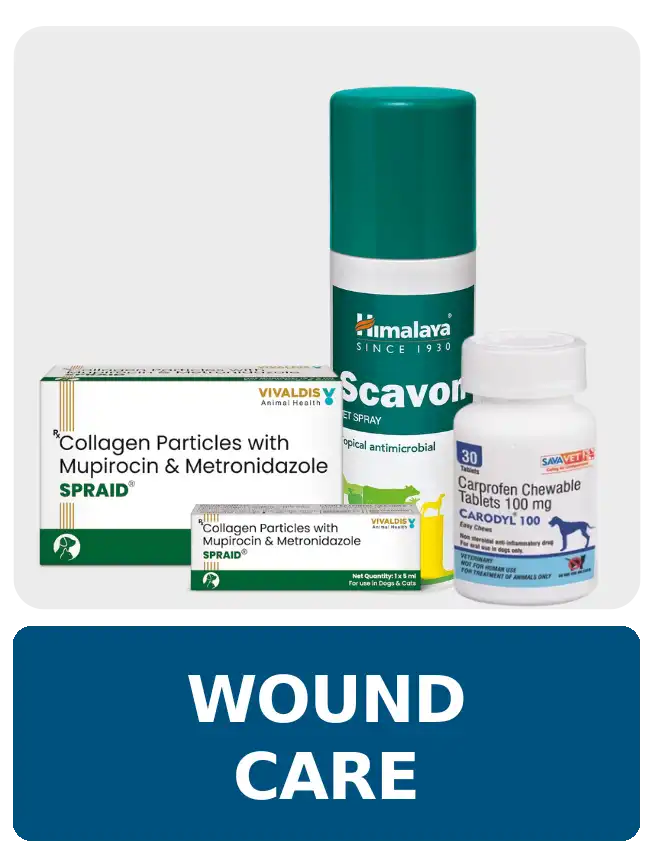 Wound Care Meds at PetMedicine.co