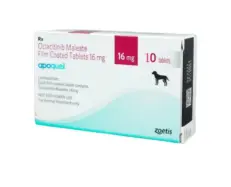 Zoetis Apoquel 16 MG tablet for dogs allergy relief - PetMedicine.co