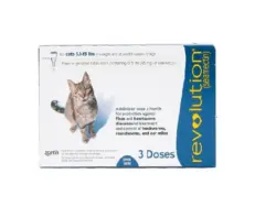 Zoetis Revolution Cat Spot on 0.75ml flea treatment | PetMedicine.co