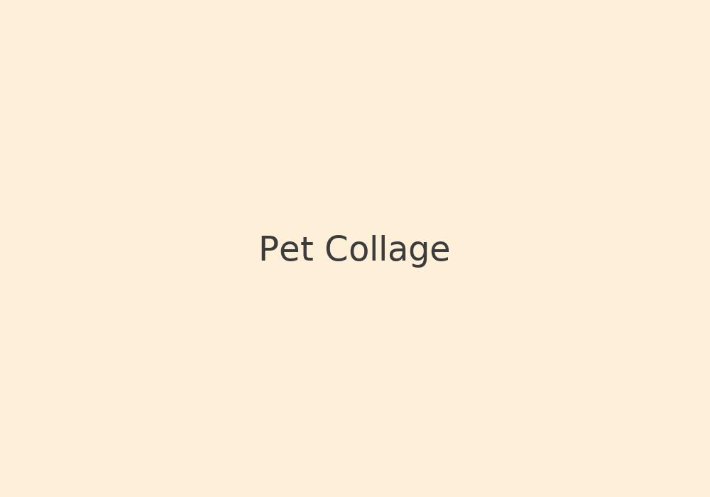 Pet collage