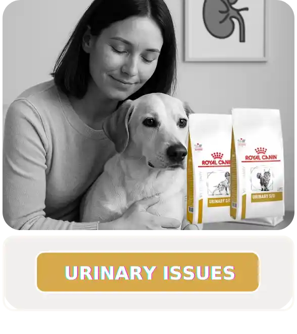 urinary care pet food at PetMedicine.co