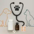 10 Most Common Veterinary Medicines Every Pet Parent Should Know
