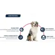 Veterinary Affinity Advance Diabetes Dog food 3kg and 12kg PetMedicine.co