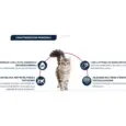 Veterinary Cat Food Affinity Advance Feline Urinary Stress for urinary health – PetMedicine.co