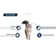 Buy Affinity Advance Gastroenteric Cat Food for digestive support – PetMedicine.co