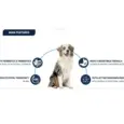 Buy Affinity Advance Gastroenteric Dog Food for digestive health from PetMedicine.co