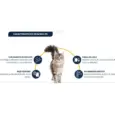 Veterinary renal support cat dry food Affinity Advance – PetMedicine.co