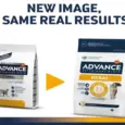 Veterinary renal support cat dry food Affinity Advance – PetMedicine.co