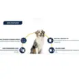 Buy Affinity Advance Renal Dog Food online PetMedicine.co